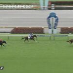 【競馬】東京5R新馬戦 武豊騎乗のエゾダイモンは4着に敗れる