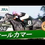 1994年 オールカマー(GⅢ) | ビワハヤヒデ | JRA公式