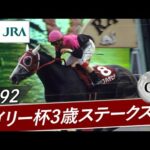 1992年 デイリー杯3歳ステークス(GⅡ) | ビワハヤヒデ | JRA公式