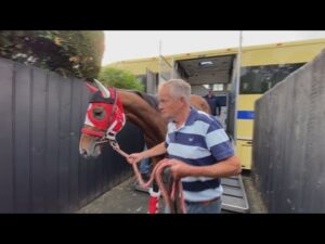 キングエルメスおよびバスラットレオンがイギリスに到着 | JRA公式