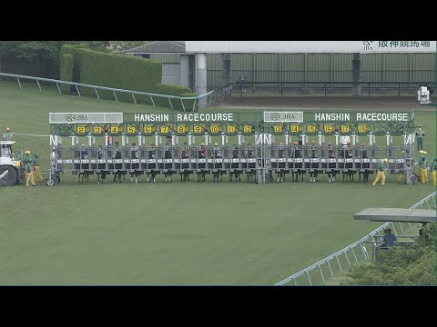 2022 TAKARAZUKA KINEN (G1) | JRA Official