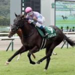【競馬予想】[2]第29回函館スプリントステークス(GIII) /2022