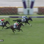 【2歳新馬】ダノンザタイガー弱すぎワロタwwwwww