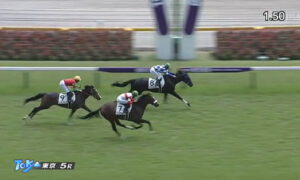 【2歳新馬】ダノンザタイガー弱すぎワロタｗｗｗｗｗｗ