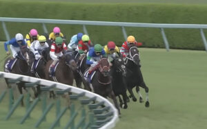 パンサラッサ6人気8着ってどう評価すればいいの？