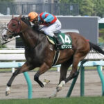 【競馬予想】[1]第29回函館スプリントステークス(GIII) /2022