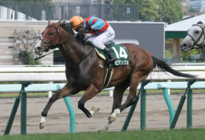 【競馬予想】[1]第29回函館スプリントステークス(GIII) /2022