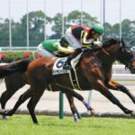 【2歳新馬】新種牡馬サトノダイヤモンド産駒ダイヤモンドハンズが快勝!