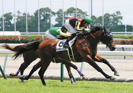 【2歳新馬】新種牡馬サトノダイヤモンド産駒ダイヤモンドハンズが快勝！