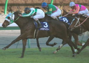 【訃報】最強世代2歳王者メジロベイリー24歳老衰で死亡