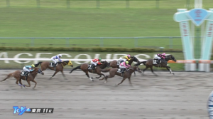 【スレイプニS】忘れた頃の江田照男