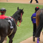 【JRA】トラッキングシステム導入 出走馬の位置情報をリアルタイムに表示