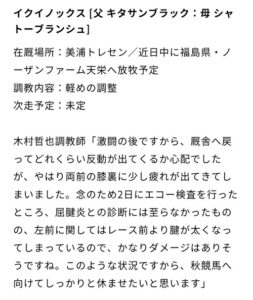 イクイノックス、腱が太くなる
