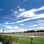 もうすぐ夏競馬だけど思い出す馬と言えば