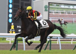 【競馬予想】第75回鳴尾記念(GIII)  /2022