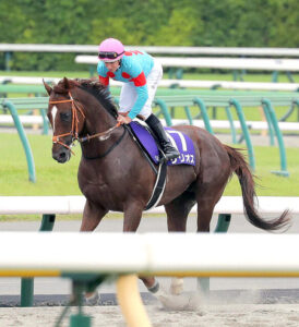 【安田記念】-22kg絞ってサリオスが復活の3着！