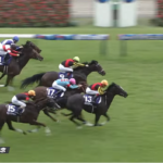 ●サリオス(前前走香港マイル3着)←こいつが穴サイドだった理由
