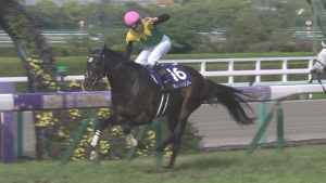 ●タイトルホルダーって戸崎騎手か田辺騎手のものじゃないの？