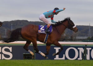 【悲報】アーモンドアイ顕彰馬に選定されず…