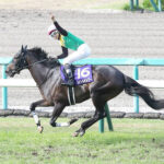 【競馬予想】[3]第63回宝塚記念(GⅠ)/ 2022