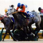 オグリキャップ直系の子が門別でデビュー！結果は？