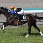 ヴェロックスが引退 競走馬登録を抹消