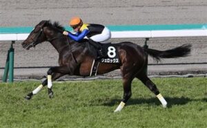 ヴェロックスが引退　競走馬登録を抹消