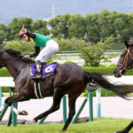 タイトルホルダー凱旋門賞直行!鞍上は横山和生