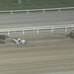 【帝王賞2022】結果・動画/メイショウハリオが新帝王に輝く