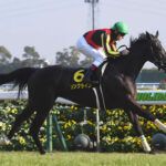 【競馬予想】[2]第72回安田記念(GⅠ) /2022