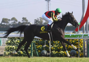 【競馬予想】[2]第72回安田記念(GⅠ) /2022