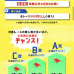●宝塚記念終わったらどうしていいかわからない