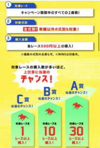 ●宝塚記念終わったらどうしていいかわからない