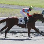 【競馬予想】[2]第27回ユニコーンステークス(GⅢ) /2022