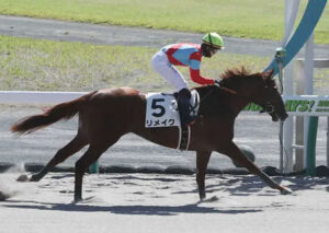 【競馬予想】[2]第27回ユニコーンステークス(GⅢ) /2022