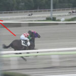 【2歳新馬/大井】20馬身ポツンから直線一気ゴボウ抜き衝撃の4馬身差圧勝!
