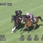 【函館スプリントステークス2022】追い切り/動きを見極め勝利に近づけ