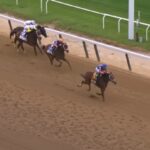 【ベルモントステークス2022】結果・動画/モードニゴールが差し切る