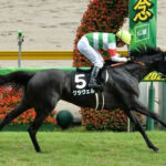 【競馬予想】[2]第27回マーメイドステークス(GIII) /2022