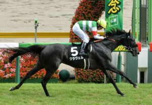 【競馬予想】[2]第27回マーメイドステークス(GIII) /2022