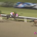 【関東オークス2022】結果・動画/グランブリッジが3馬身の差をつけ圧勝