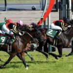 【鳴尾記念】1年5ヶ月ぶりヴェルトライゼンデが復活V!重賞初制覇