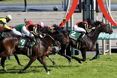 【鳴尾記念】1年5ヶ月ぶりヴェルトライゼンデが復活V！重賞初制覇