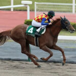 【競馬予想】第45回帝王賞 (JpnⅠ/大井) / 2022
