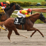 【競馬予想】[1]第27回ユニコーンステークス(GⅢ) /2022