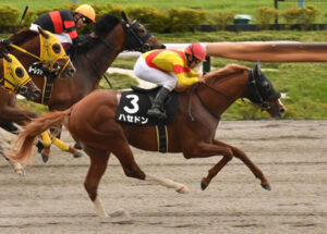 【競馬予想】[1]第27回ユニコーンステークス(GⅢ) /2022