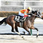 グロリアムンディは福永で宝塚記念参戦へ