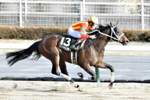 グロリアムンディは福永で宝塚記念参戦へ