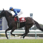 【競馬予想】[1]第27回マーメイドステークス(GIII) /2022
