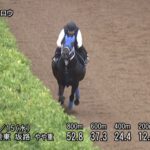 【ユニコーンステークス2022】追い切り/動きを見極め勝利に近づけ